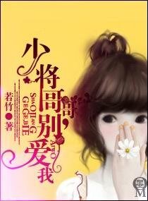 少將哥哥，別愛我（寵文）